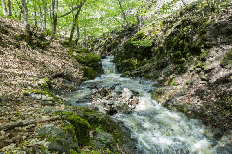 10 Első-tarnóc