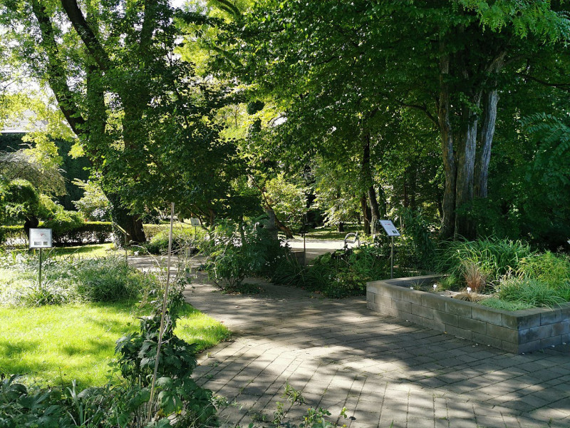 1280px-Füvészkert_(16)