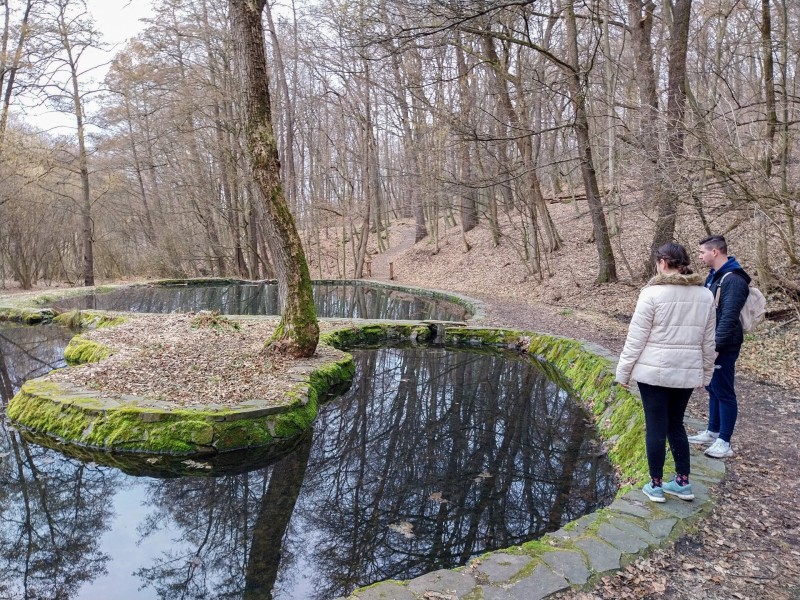 31. a Krúdy-forrás vizével felduzzasztott pisztrángos tavak