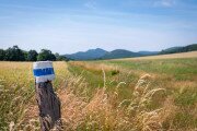Hőguta, csalán és csendes erdők – élménybeszámoló a Börzsönyi Kékről