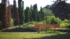 Kinyitott az Alcsúti Arborétum